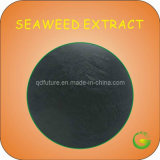 Brown Seaweed Extract Powder