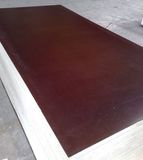 120GSM Brown Film Faced Plywood (FFP-HT06003)