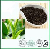 Natural Herbal Tea Polyphenol (Black Tea Extract)