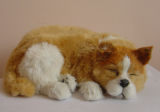 Toy Dog Model (Dog 012)
