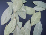 Dried Herb Tea and Bay Leaves