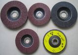 Flap Disc