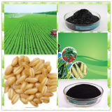 Super Potassium Humate 98% Min, High Soluble and High Purity