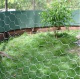 Hexaonal Galvanised Wire Mesh