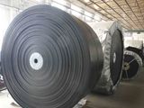 Polyester Conveyor Belt