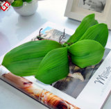 Artificial Faux Manmade PU Material Home Decor Orchid Leaf