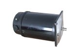 Electric DC Motor (110ZYT)