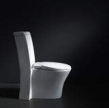 1 Piece Toilet (Z2060361)