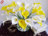 Decorative Flowers Artificial Flower-Foam Calla