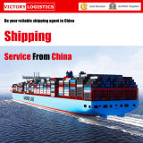 Container Shipping From China, Reliable Shipping for Container