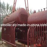 Coal Boiler/Rice Husk Boiler/Paddy Boiler (DZL)