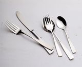 Stainless Steel Cutlery Set (D999)