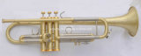 Professional Trumpet with Reserved Leadpipe (JTR-800)