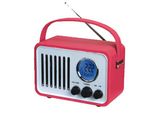 Am / FM Leather Radio (HMR-063) 