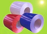 Color Coated Aluminium Coil