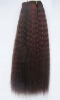 Remy Human Hair Weft
