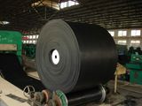 Cold Resistant Conveyor Belt