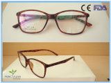 (R609) Directly Factory Selling Tr90 Optical Frame Eyewear