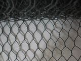 Hexagonal Chicken Wire Mesh