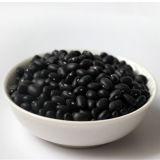 2015 China Organic Samll Black Bean for Wholesale