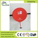 GSM Antenna / 3G Antenna / 2.4G Antenna / 5.8g Antenna