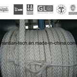 Marine Equipment Braided 12 Strands Polyester Boat Rope on Sale (C-12)