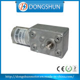 Ds-46sw370 Brushed DC Worm Gear Motor