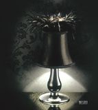 Modern Home Decoration Feather Table Lamp (1010T1)