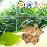 Plant Extract Raw Material and Herb Dried Ginger