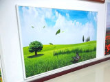 Infrared Heater Panel for Wall/Ceiling with 950W with Aluminium Frame