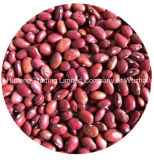 Small Red Kidney Bean (Shanxi)