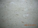 Moon Beige Marble