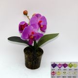 Artificial Potted Flower, Imitative Silk Orchid