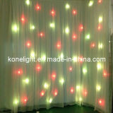 Kone-- Rgby Star Curtain/LED Curtain/Star Cloth for Weddings