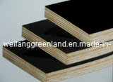 Hardwood Core Film Faced Plywood (CE, SGS, ISO grade)