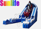 Inflatable Slide, Water Slide, Water Slides