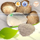 Natural Herbal Raw Material Ark Shell