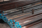 Speci Steel / Mould Steel DC53