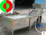 Popular Stainless Steel Water Spinach Washe Video (QX-22)