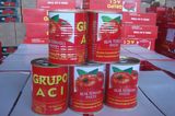 Tin Tomato Paste, Branded Ketchup Tomato Sauce