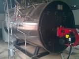 Gas-Fired Fuel and Industrial Usage Steam Boiler