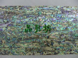 High Quality Green/Blue Abalone Paua Shell Paper
