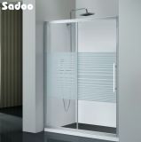Simple Design Shower Room Enclosure (SD-S391061)