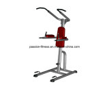 Chin & DIP Free Weight Commercial Fitness/Gym Equipment with SGS