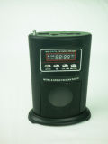 Multi Card Reader Speaker (DS-WS-561)