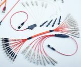 MPO Fan out 12 Fiber