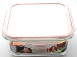 Square Series Borosilicate Glass Container with PP Lid (EW1820)