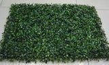 40cm*60cm Artificial Plastic Boxwood Mat 