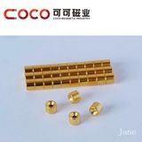 NdFeB Magnetic for Fridge& Gold Plated Magnets