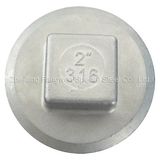 Square Plug